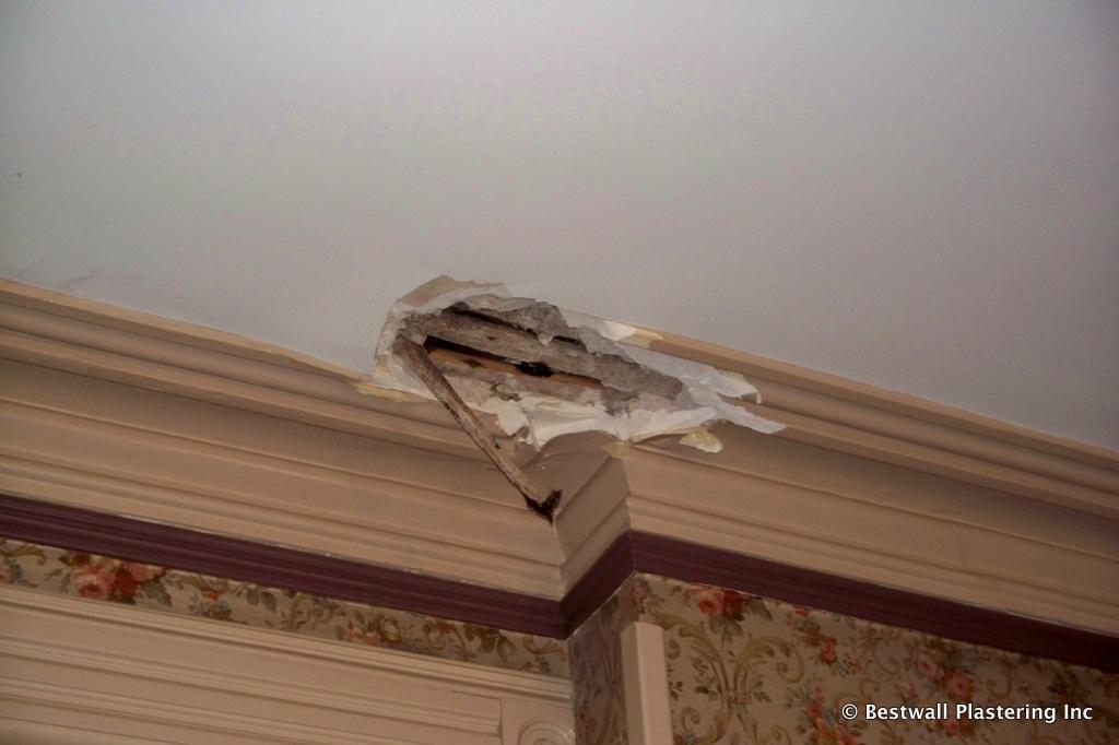 Hoboken Damaged Plaster Molding.